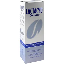 Lactacyd Derma Waschsyndet 250 ML