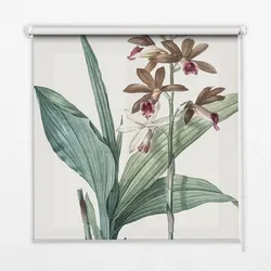 INNENROLLO - Fensterrollo - Rollo - 140x140 cm - Blume