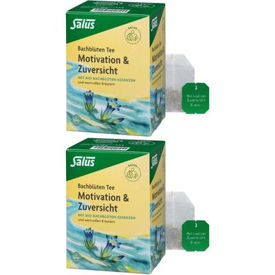 Bachblüten TEE Motivation&Zuversicht Bio Salus Fbt 2x 2x15 St Filterbeutel