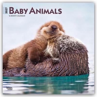 Baby Animals – Tierbabys – Tierkinder 2027 – 16-Monatskalender