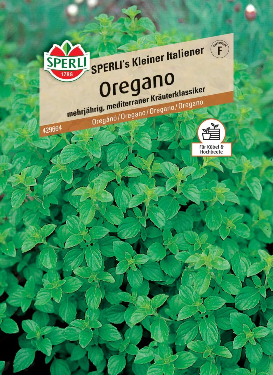 Sperli Oregano Sperli 's Kleiner Italiener