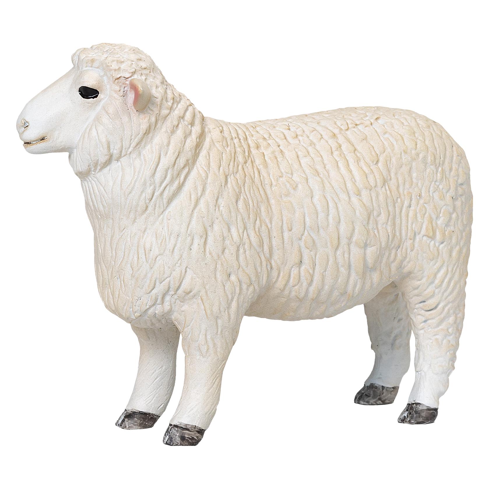 Mojo Romney-Widder (MJ-381063)