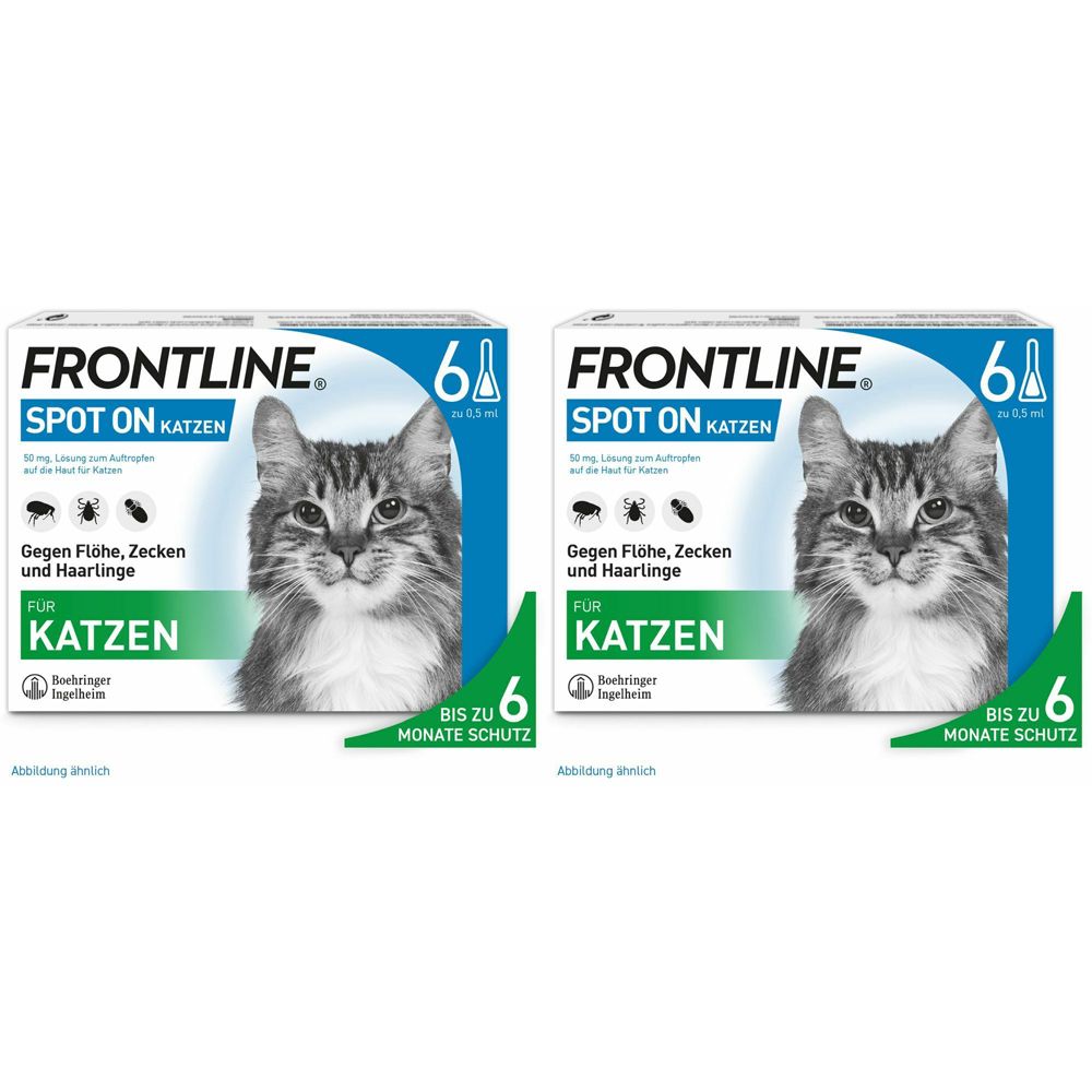 Frontline Spot on K Lösung f.Katzen Doppelpack 2x6 St Einzeldosispipetten
