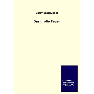 Das große Feuer, Taschenbuch von Carry Brachvogel, Salzwasser, 978-3-8460-2362-4
