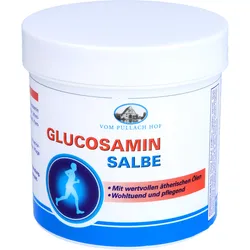 Glucosamin Salbe 250 ML