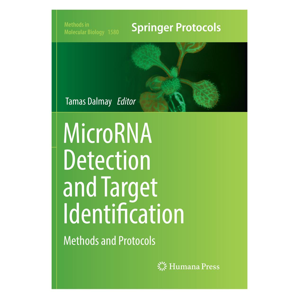 Springer MicroRNA Detection and Target Identification (Englisch, Softcover, Tamas Dalmay) (56002933)
