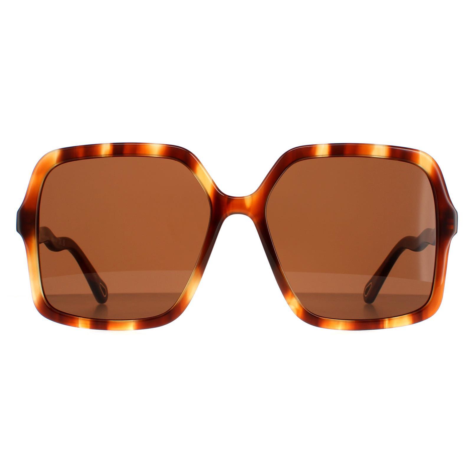 Chloe Square Dames Havana Bruin CH0086S Zelie