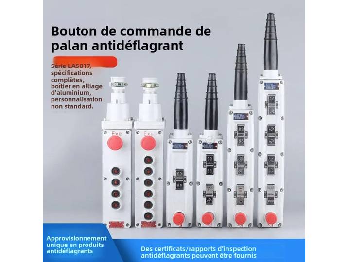Bouton de commande de palan électrique antidéflagrant A5817, interrupteur de levage, démarrage et arrêt pour conduite de grue 6K/8K