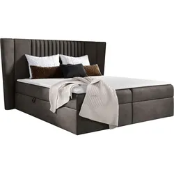 BOXBETT Spark - H3