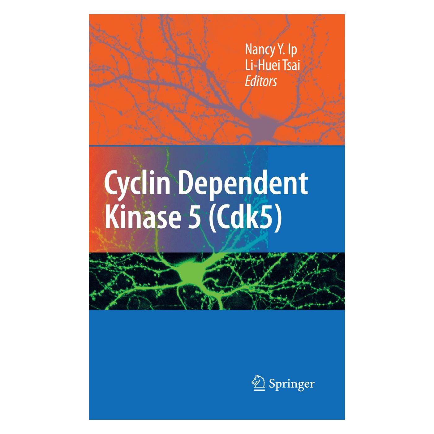 Springer Cyclin Dependent Kinase 5 (Cdk5) (Englisch, Hardcover, Li-Huei Tsai, Nancy Y. Ip) (9780387788869)