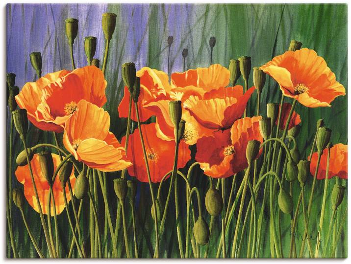 Leinwandbild ARTLAND Mohnblumen I , rot (farbe bild(er): rot), B:80cm H:60cm, Bilder, Leinwandbild, auf Holzrahmen gespannt