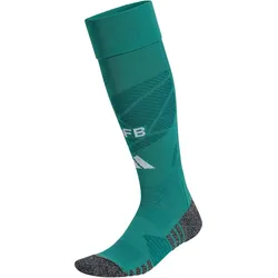 adidas DFB Deutschland Authentic Heim Torwartstutzen WM 2026 JM1408 - active green 49-51
