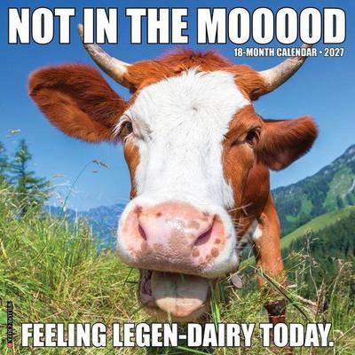 Not in the Mooood 2027 12 X 12 Wall Calendar