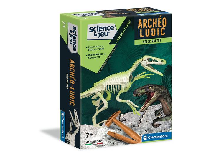 Archéo Ludic - Vélociraptor