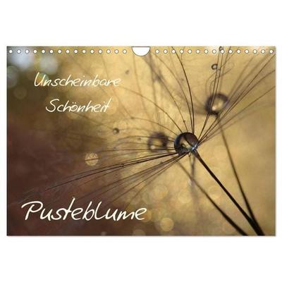 Unscheinbare Schönheit - Pusteblume (Wandkalender 2027 DIN A4 quer), CALVENDO Monatskalender