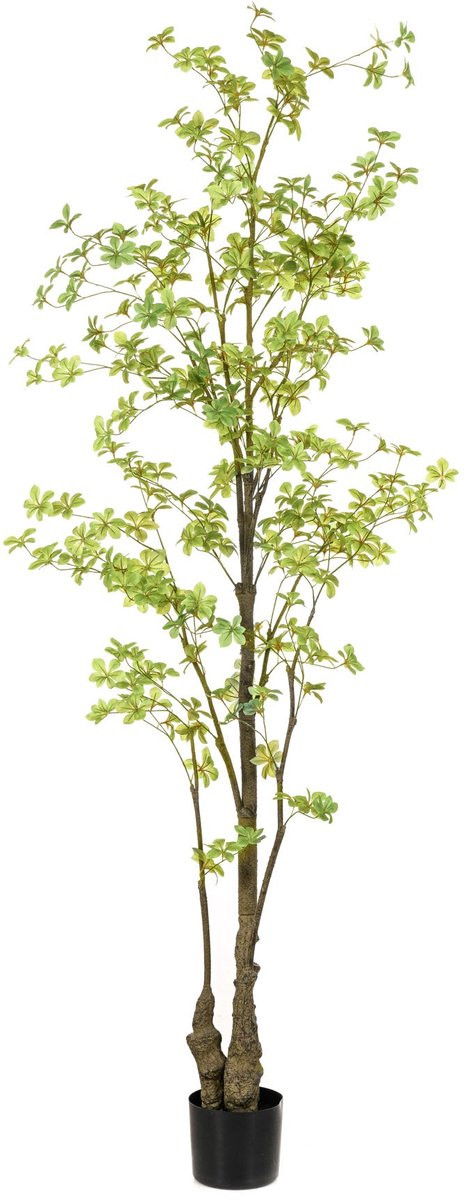 Emerald Kunstboom Tropaeolum - Kunstplant voor binnen - 210 cm