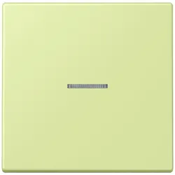 Jung Wippe mit Lichtleiter LC 101 KO5 222