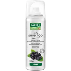 RAUSCH DRY SHAMPOO Fresh 50 ml Aerosol 50 ml Dosierspray