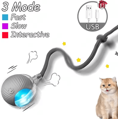 Inspire Curations ChaseTail Smart Rolling Ball Toy For Cats & Small Dogs gray