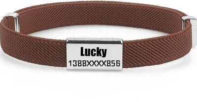 Inspire Select Personalized Breakaway AirTag Cat Collar With Engraved Metal Name Tag Adjustable GPS Tracking Pet Collar brown 5 12 In tag
