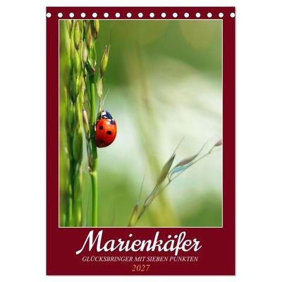 Marienkäfer, Glücksbringer mit sieben Punkten (Tischkalender 2027 DIN A5 hoch), CALVENDO Monatskalender
