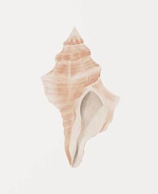 Uplifted Finds Watercolor Seashore Canvas   Coastal Shell & Starfish Print   Executive Studio & Beachfront Sanctuary Decor 3 1 Pc 40 X 60 Cm No Frame