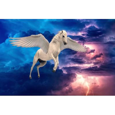 Fototapete PAPERMOON "Pegasus", bunt, B:5m L:2,8m, Vlies, Tapeten