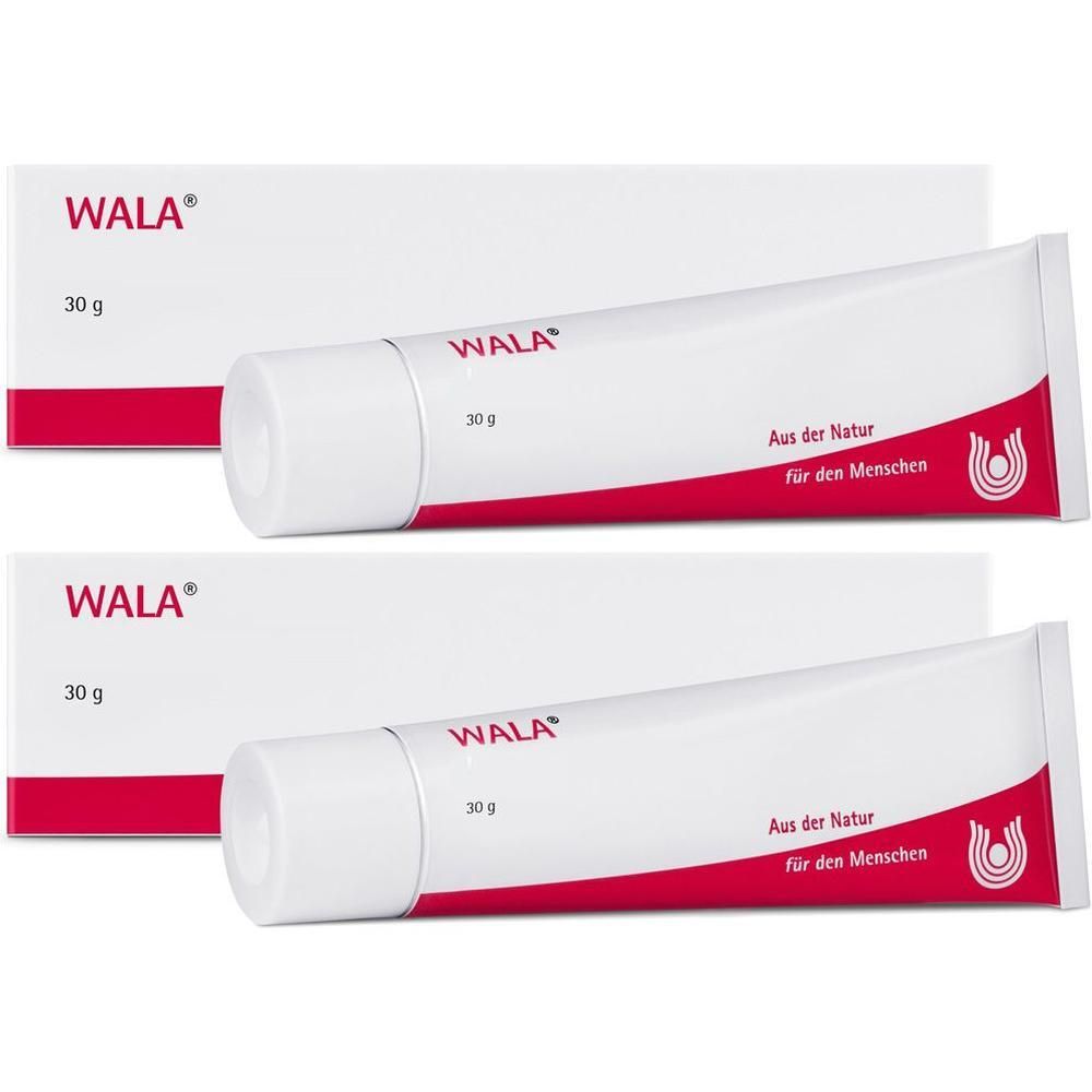 Viscum Mali e planta tota 3% Unguentum 2x 2x30 g Salbe