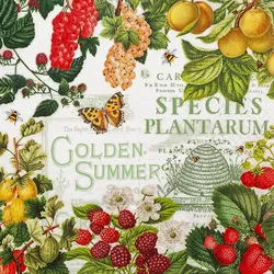 Home Fashion, Summer Fruits, Lunch-Servietten aufgefaltetes Maß 33 cm x 33 cm, im Viertelfalz, 20 Stück pro Packung