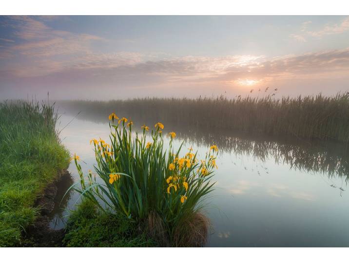 Fototapete PAPERMOON Fluss durch Feld , bunt, B:3m L:2,23m, Vlies, Tapeten, Fototapete