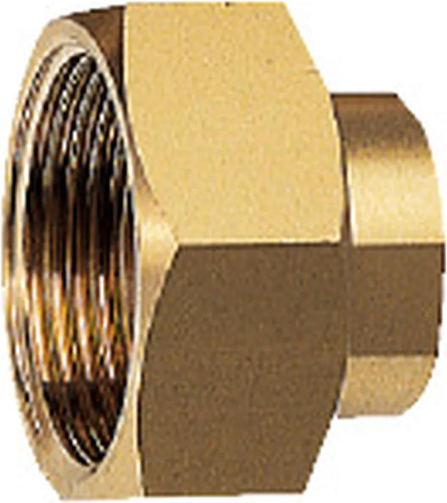BWT HydroMODUL aansluitstuk, 1 inch reductiekoppelstuk met interne schroefdraad, HACCP-conform, 1 stuk