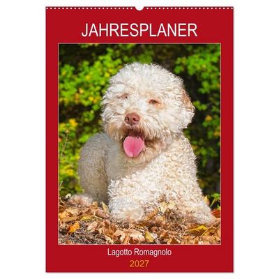 Jahresplaner Lagotto Romagnolo (Wandkalender 2027 DIN A2 hoch), CALVENDO Monatskalender