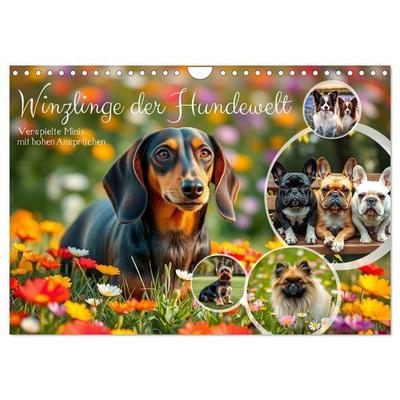 Winzlinge der Hundewelt (Wandkalender 2027 DIN A4 quer), CALVENDO Monatskalender