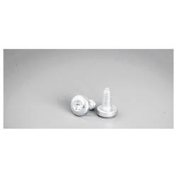 nVent HOFFMAN CNT05 (VE250) CNT05 (VE250) Schrauben Stahl 250 St.