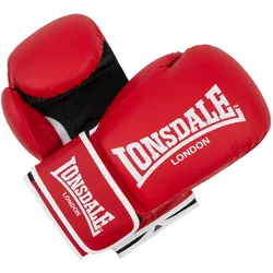 Lonsdale Boxhandschuhe aus Kunstleder ASHDON