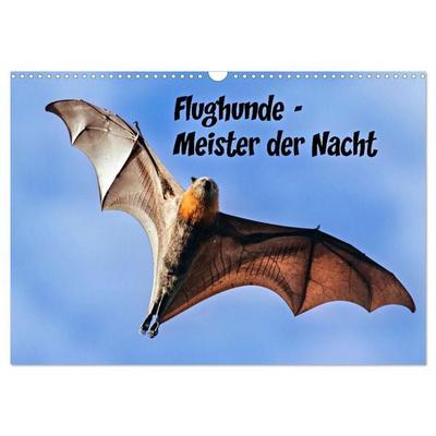 Flughunde - Meister der Nacht (Wandkalender 2026 DIN A3 quer), CALVENDO Monatskalender