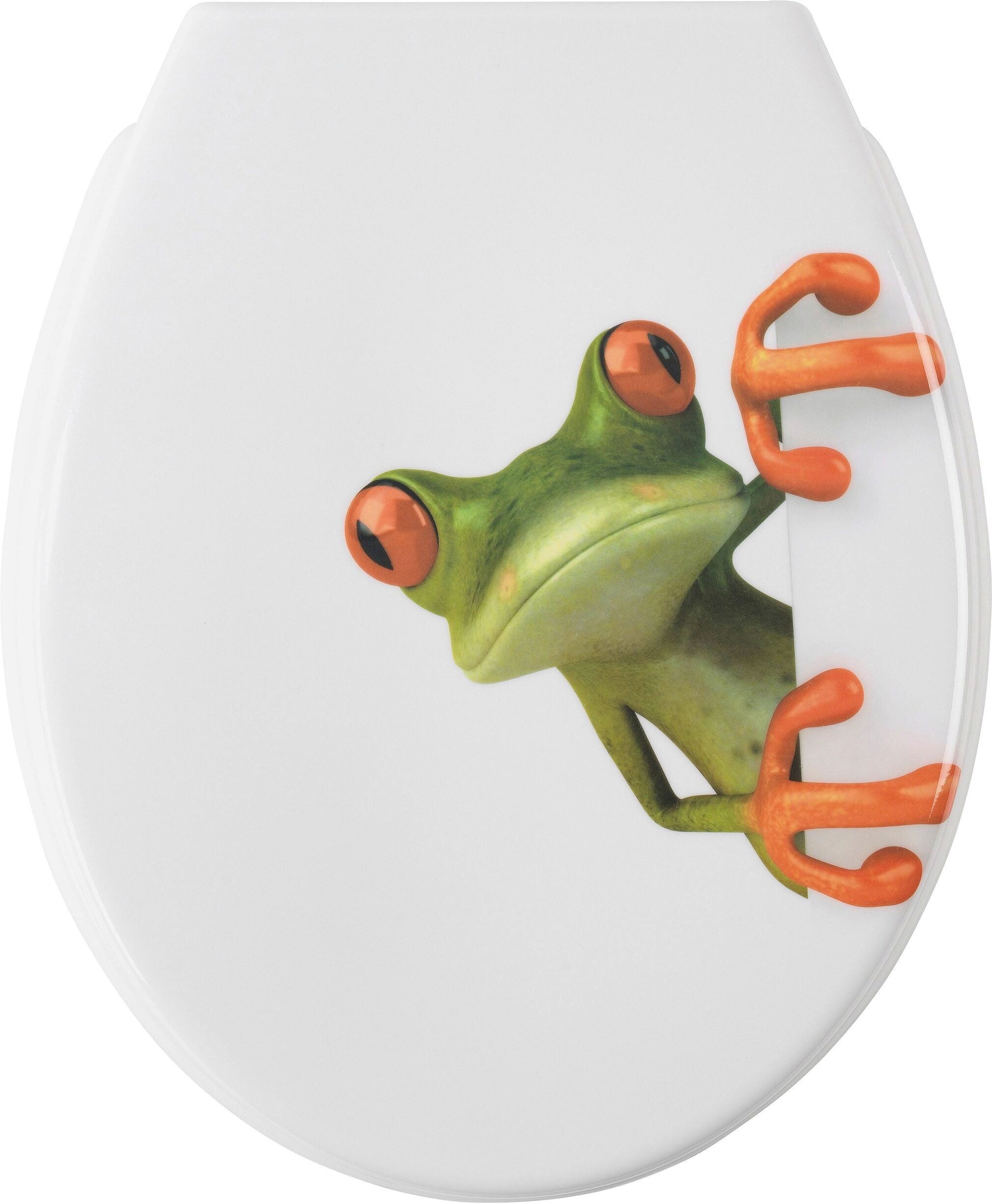 WC-Sitz ADOB "Frosch", grau (weiß, grau), B:37cm H:5cm L:44cm, Duroplast, Edelstahl, WC-Sitze, WC-Sitz, Absenkautomatik, zur Reinigung abnehmbar weiß, grau Einheitsgröße