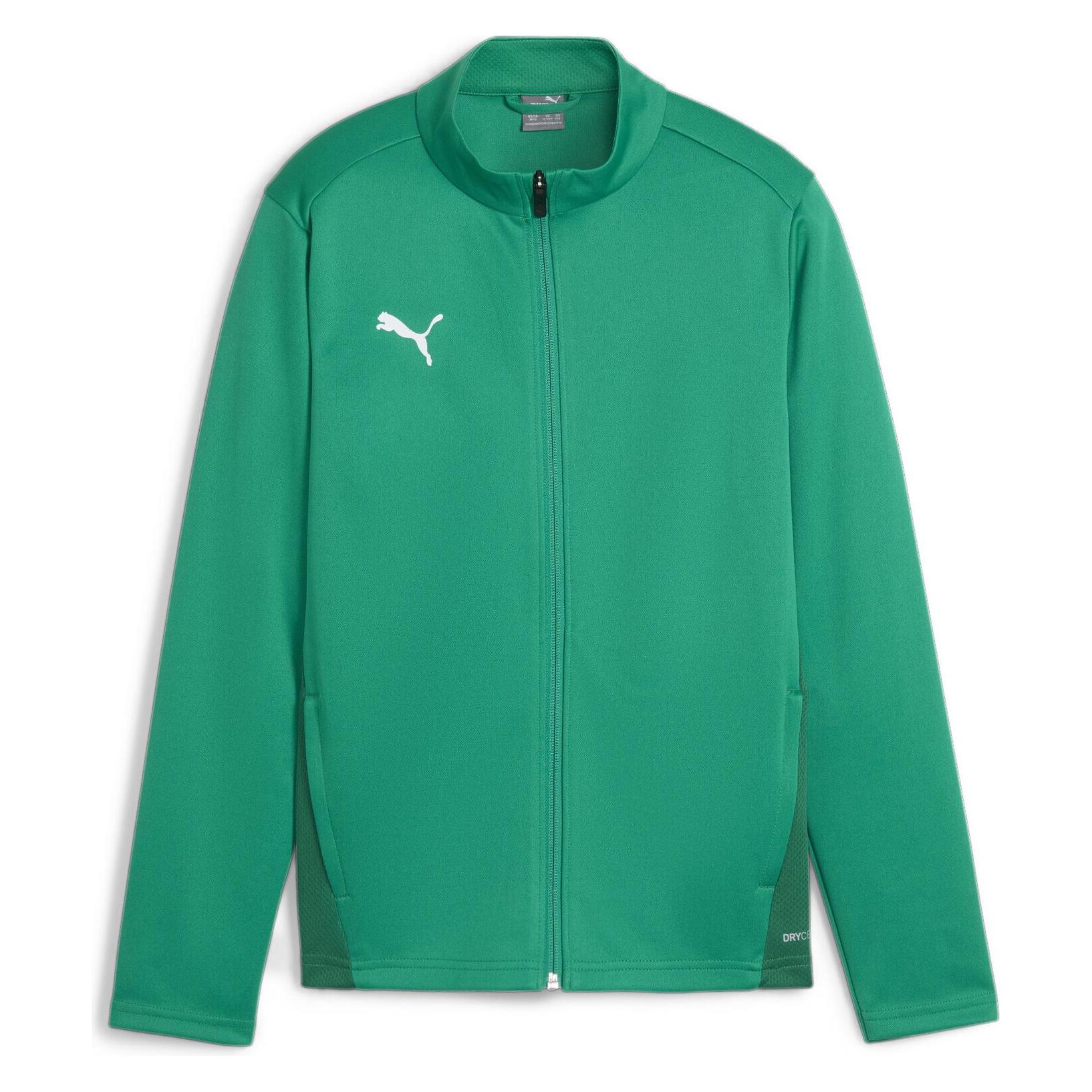 Puma teamGOAL Training Jacket Jr (140) (658634_05)