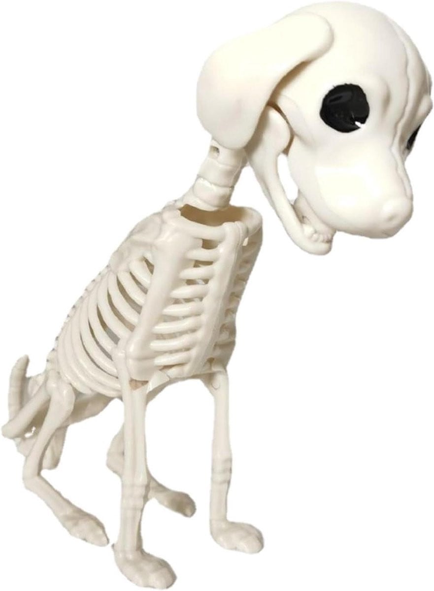 Griezelig skelet hond standbeeld - Handgemaakte gotische decoratie van hars voor Halloween