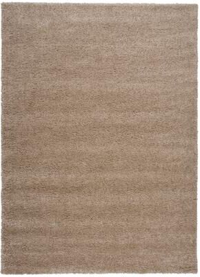 Nourison Amore Shag Area Rug