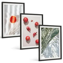 BILDER SET 3er Set - 40x60 cm Schwarzer Rahmen - Feiertagspalmenfrüchte