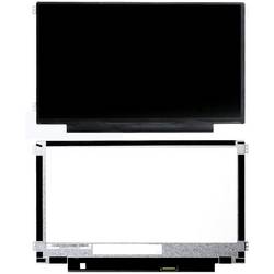 CoreParts MSC116H30-173G Anzeige Schwarz 1 St.