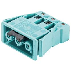 Wieland Electric 92.031.8258.0 Geräteanschluss