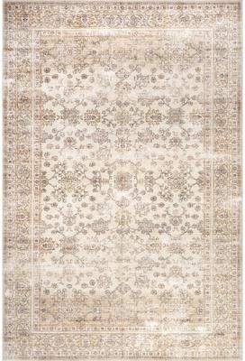 Nuloom Sia SplashGuard Vintage Floral Machine Washable Area Rug