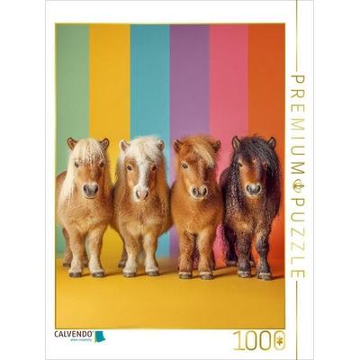 CALVENDO Puzzle Bunte Zwergpony Bilder mit Regenbogenfarben | 1000 Teile Lege-Größe 64x48cm Foto-Puzzle für glückliche Stunden