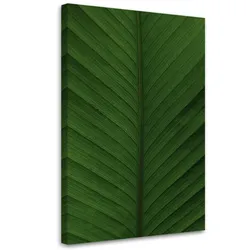 WANDBILD bananenblatt makro