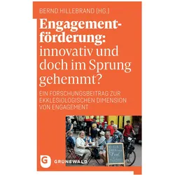 Engagementförderung: innovativ und doch im Sprung gehemmt?, Fachbücher von Bernd Hillebrand