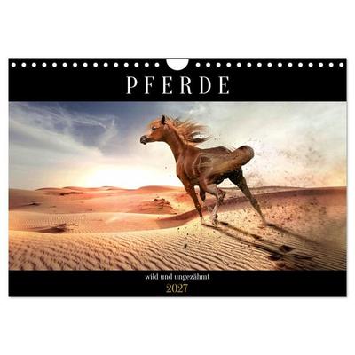 Pferde - wild und ungezähmt (Wandkalender 2027 DIN A4 quer), CALVENDO Monatskalender