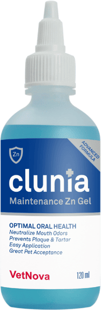 Vetnova Clunia Maintenance Zingel 120 ml