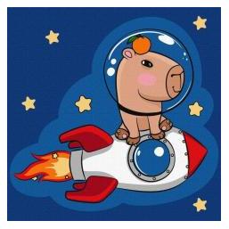 Ideyka Malen nach Zahlen - Wasserschwein in einer Rakete 30x30 (65613898)